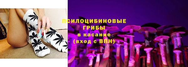 соль ск Алзамай