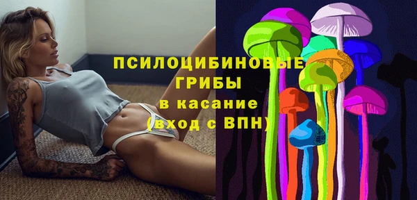 гидра Всеволожск