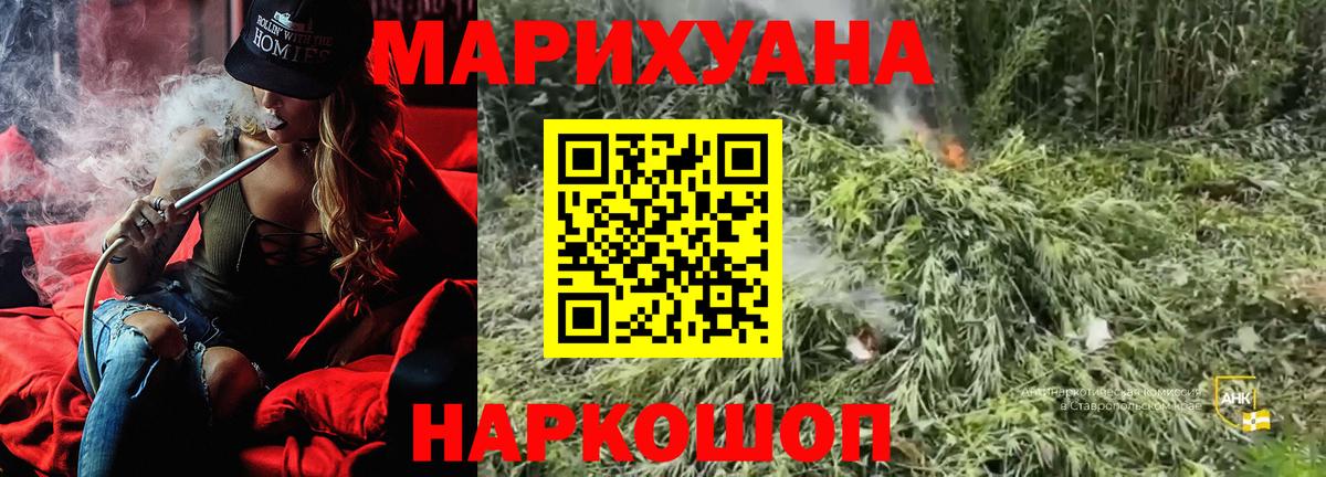 Марихуана план Кашира